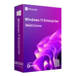 Windows 11 Enterprise Lifetime License Key
